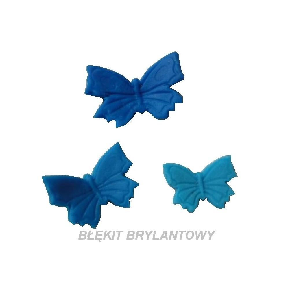 Barwnik-Spozywczy-w-proszku-niebieski-jasny-5g blank