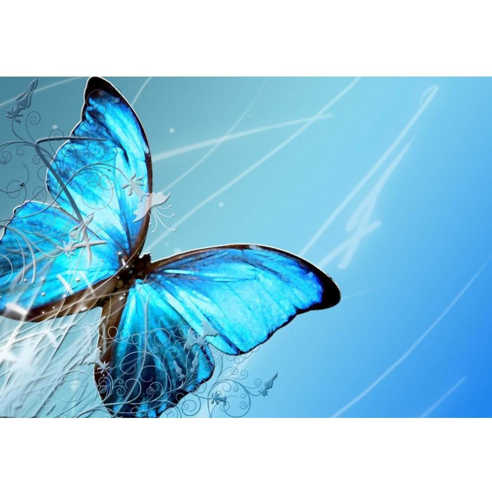 Oplatek-Na-Tort-Motyle-4-29x20cm-Prostokatny