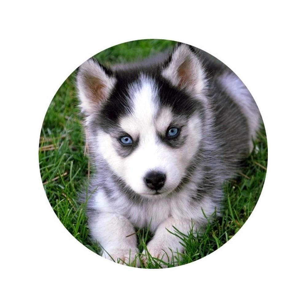 Oplatek-Na-Tort-Pies-4-20cm