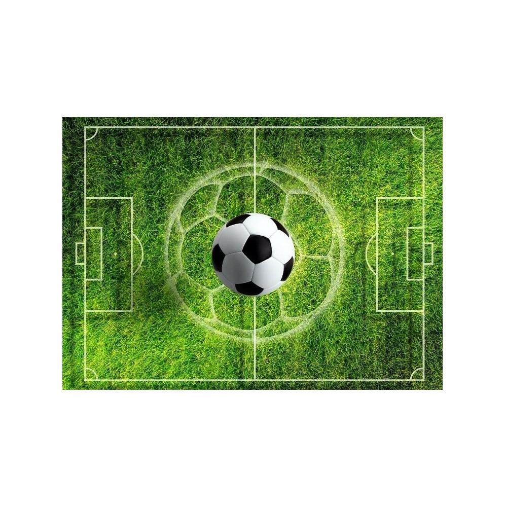 Oplatek-na-tort-Boisko-z-pilka-20cmx29cm blank