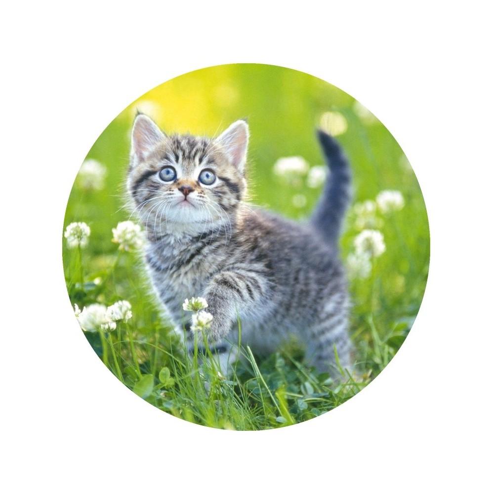 Oplatek-na-tort-Kot-1-20cm