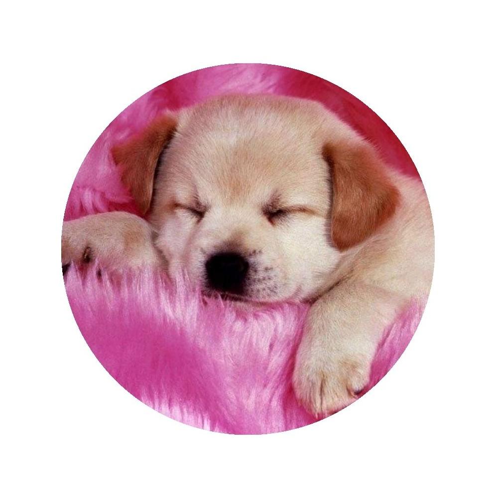 Oplatek-na-tort-Pies-2-20cm