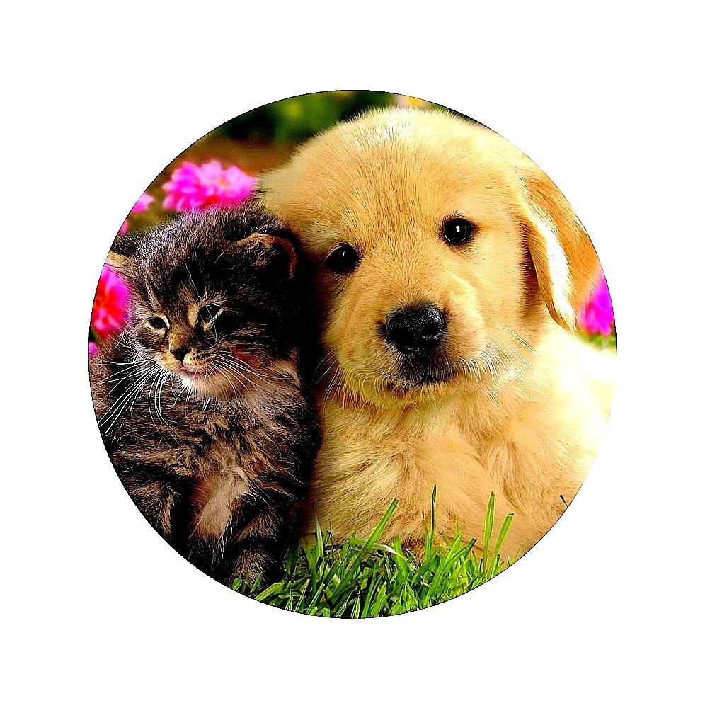 Oplatek-na-tort-Pies-i-Kot-1-20cm