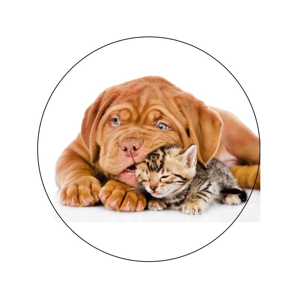 Oplatek-na-tort-Pies-i-Kot-4-20cm