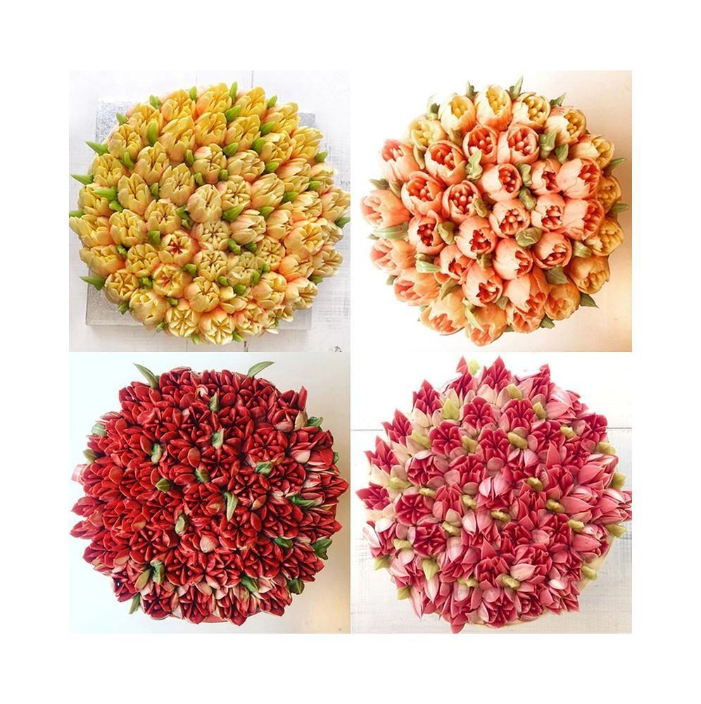 Tylki-Rosyjskie-8-sztuk-Adapter-3-Worki-Zestaw blank